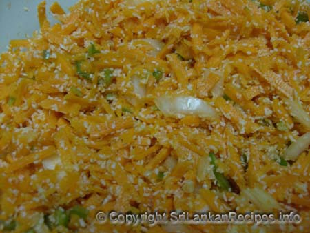 CARROT SAMBOL